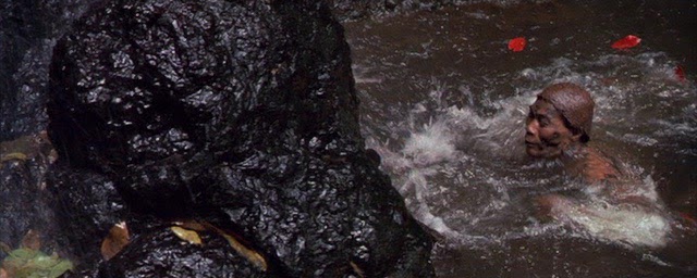 Info on blood orchid flower